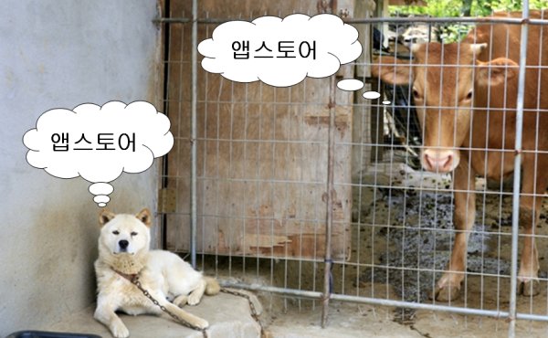 사용자 삽입 이미지